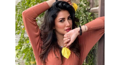 Mehwish Hayat's