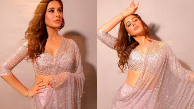 Nargis Fakhri Shines in Sparkling Silver Outfit