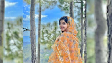 Mawra Hocane Shines in Traditional Attire