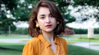 Indian Influencer's Portrait of Yumna Zaidi Captures Hearts