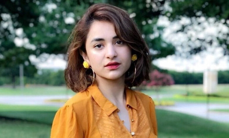 Indian Influencer's Portrait of Yumna Zaidi Captures Hearts