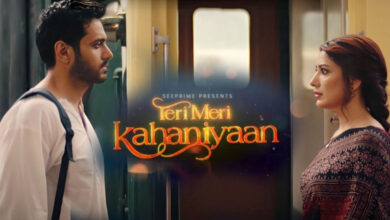 Upcoming Eidul-Adha to See Release of Feature Film 'Teri Meri Kahaniyaan' in Cinemas