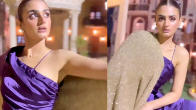Hira Mani Receives Criticism for Her Attire Selection at the Premiere of Film 'Teri Meri Kahaniyaan'